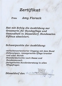 Zertifikat des Hundesalons Fifikus in Düsseldorf über die abgeschlossene Ausbildung von Amy Aslan zur Groomerin für Hundepflege und Gesundheit